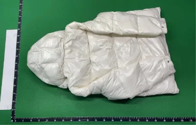 NFC down Jacket Nfcscansdownjackets Cf33-3 — Hoodies — photo 2